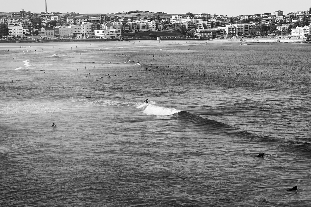 Bondi Surfing