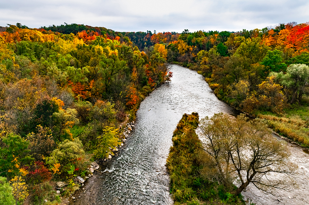 Fall colours in Mississauga, Ontario